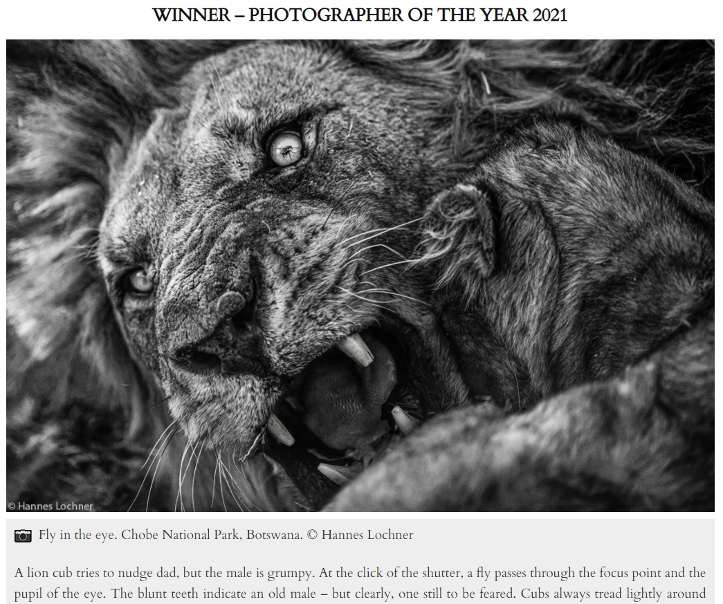 絶妙の瞬間を捉えた写真がコンテストで優勝飾る（画像は『Africa Geographic　2021年6月25日付「PHOTOGRAPHER OF THE YEAR 2021 WINNERS」（（C）Hannes Lochner）』のスクリーンショット）