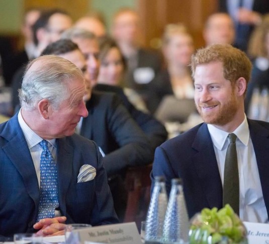 父から多額の資金を受け取っていたヘンリー王子（画像は『Clarence House　2018年2月14日付Instagram「Today The Prince of Wales hosted a meeting in London to discuss how organisations can work to improve coral reef health.」』のスクリーンショット）