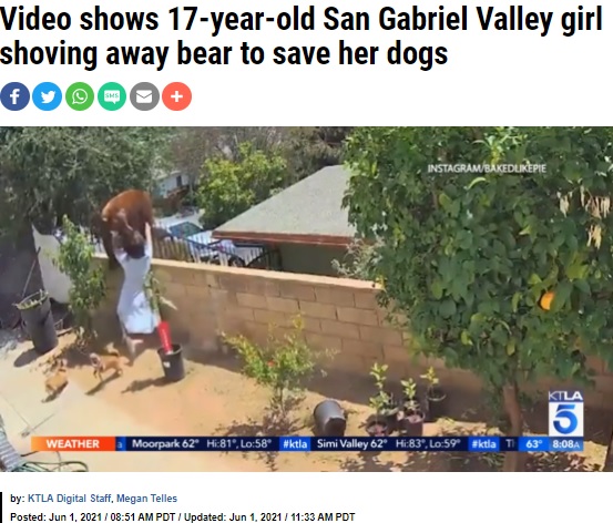 母グマを両手で突き飛ばすヘイリーさん（画像は『KTLA　2021年6月1日付「Video shows 17-year-old San Gabriel Valley girl shoving away bear to save her dogs」（Instagram / Bakedlikepie）』のスクリーンショット）