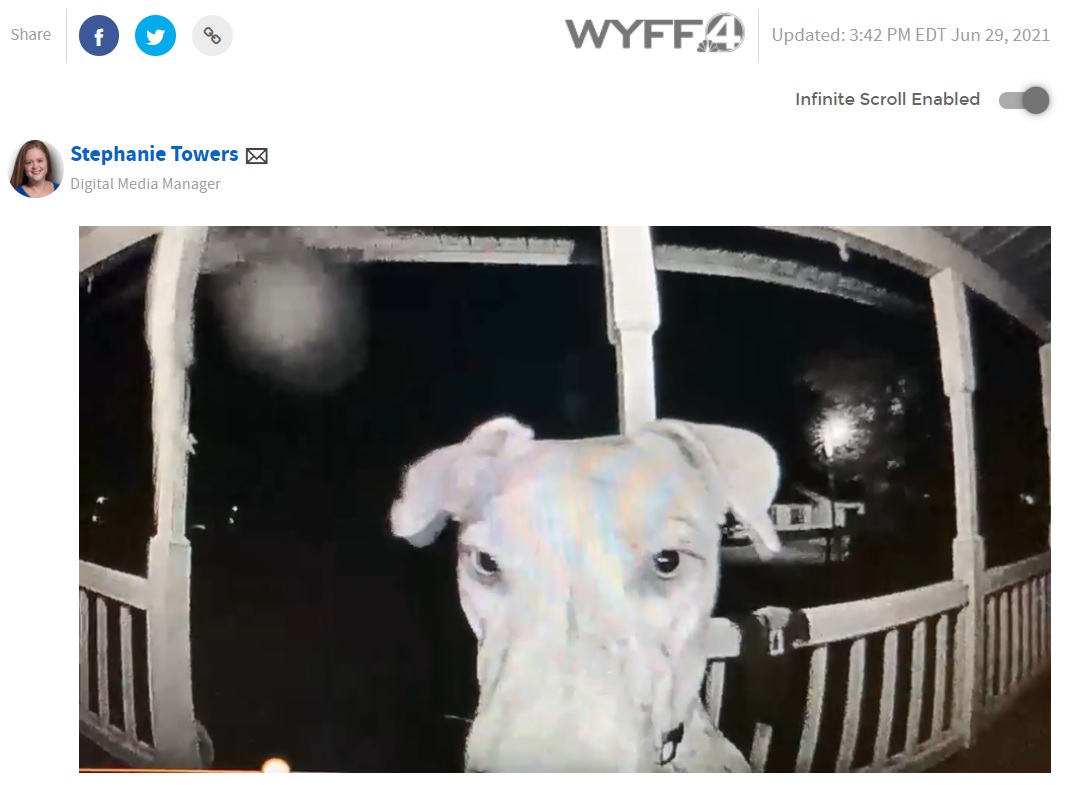 自ら玄関ベルを鳴らして帰宅を知らせた犬（画像は『WYFF News 4　2021年6月29日付「WATCH: Upstate dog rings doorbell 10 hours after being spooked by fireworks, running away」』のスクリーンショット）