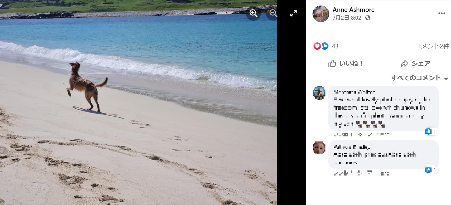 海を匂いと音で感じ、全身で喜びを表現しているアンガス（画像は『Anne Ashmore　2021年7月2日付Facebook「Adorable Angus living his best life!」』のスクリーンショット）