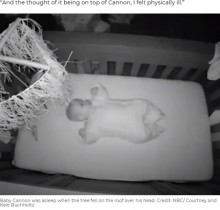 【海外発！Breaking News】赤ちゃんの部屋に倒木！　奇跡的に難を逃れる姿をカメラが捉えた（米）＜動画あり＞