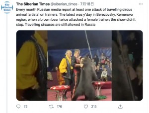 男性団員が駆けつけてクマを取り押さえることに（画像は『The Siberian Times　2021年7月18日付Twitter「Every month Russian media report at least one attack of travelling circus animal ‘artists’ on trainers.」』のスクリーンショット）