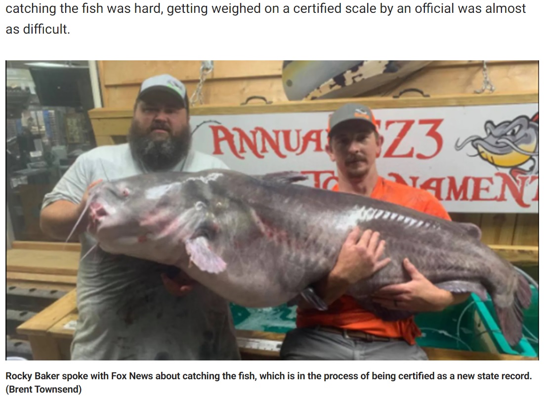 2人がかりで釣り上げた巨大ナマズ（画像は『Fox News　2021年7月14日付「Record-breaking fish caught in North Carolina: ‘Looked like a whale in the back of the boat’」（Brent Townsend）』のスクリーンショット）
