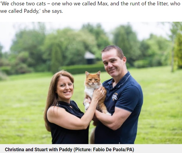 パディが仕事をしているのを知らなかったカップル（画像は『Metro　2021年7月20日付「Meet Paddy - the cat who leads a secret life comforting people who are grieving」（Picture: Fabio De Paola/PA）』のスクリーンショット）
