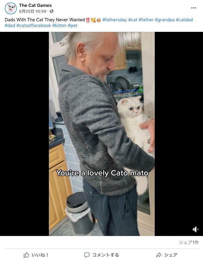 数か月後にはアンジーにメロメロに（画像は『The Cat Games　2021年6月20日付Facebook「Dads With The Cat They Never Wanted」』のスクリーンショット）