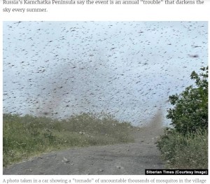 外に出るのがためらわれるほどの蚊の大群（画像は『Radio Free Europe　2021年7月20日付「Mosquito ‘Tornadoes’ Storm Russia’s Far East」（Siberian Times（Courtesy Image））』のスクリーンショット）