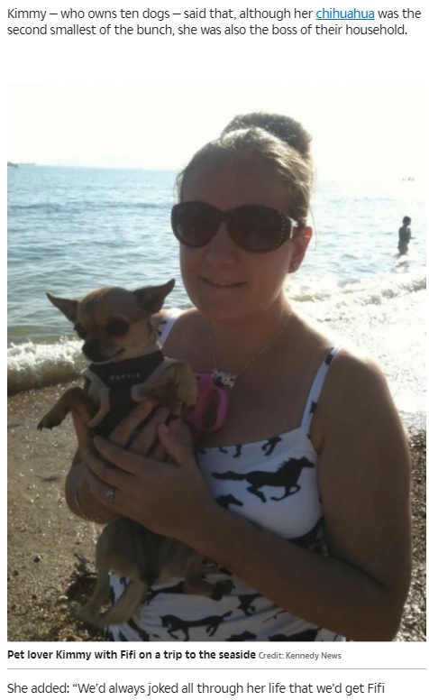 生前の愛犬に特別な感情を抱いていたという女性（画像は『The Sun　2021年6月29日付「RUFF STUFF Devoted dog owner who could not cope after chihuahua’s death has pet stuffed」（Credit: Kennedy News）』のスクリーンショット）