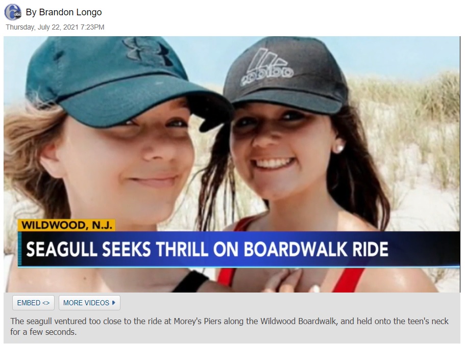 絶叫マシンで思わぬ体験をした少女（画像は『6abc Action News　2021年7月22日付「Seagull hits teen in face while on SpringShot ride in Wildwood, NJ」』のスクリーンショット）