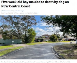 【海外発！Breaking News】生後5週間の男児、飼い犬に襲われ死亡　数週間前には隣家の犬も襲われる（豪）