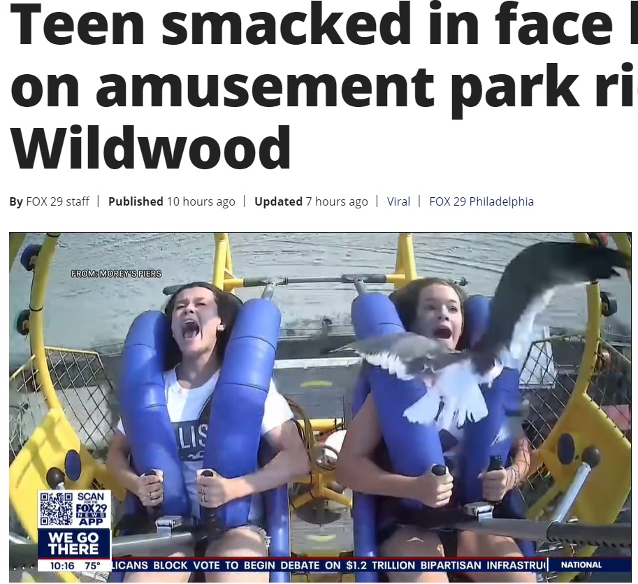 カモメが目の前に迫っていたカイリーさん（画像は『FOX 29 News Philadelphia　2021年7月23日付「Teen smacked in face by seagull on amusement park ride in Wildwood」』のスクリーンショット）