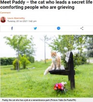 【海外発！Breaking News】葬儀場で悲しむ人を癒し続ける猫、飼い主も数年は気付かず（英）