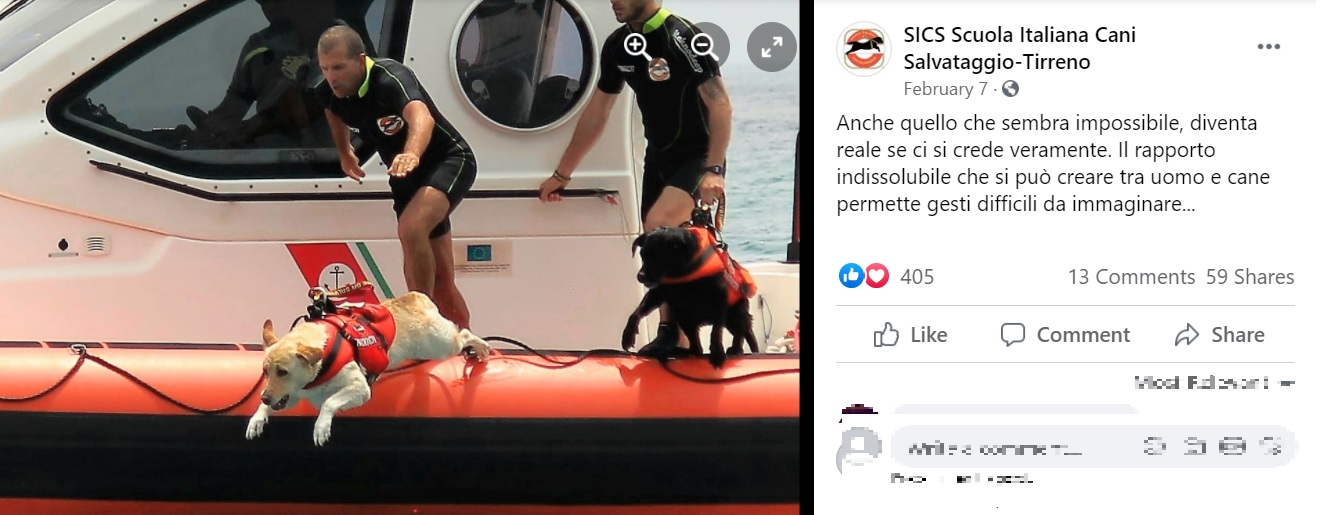 ボートからジャンプする犬たち（画像は『SICS Scuola Italiana Cani Salvataggio-Tirreno　2021年2月7日付Facebook「Anche quello che sembra impossibile」』のスクリーンショット）