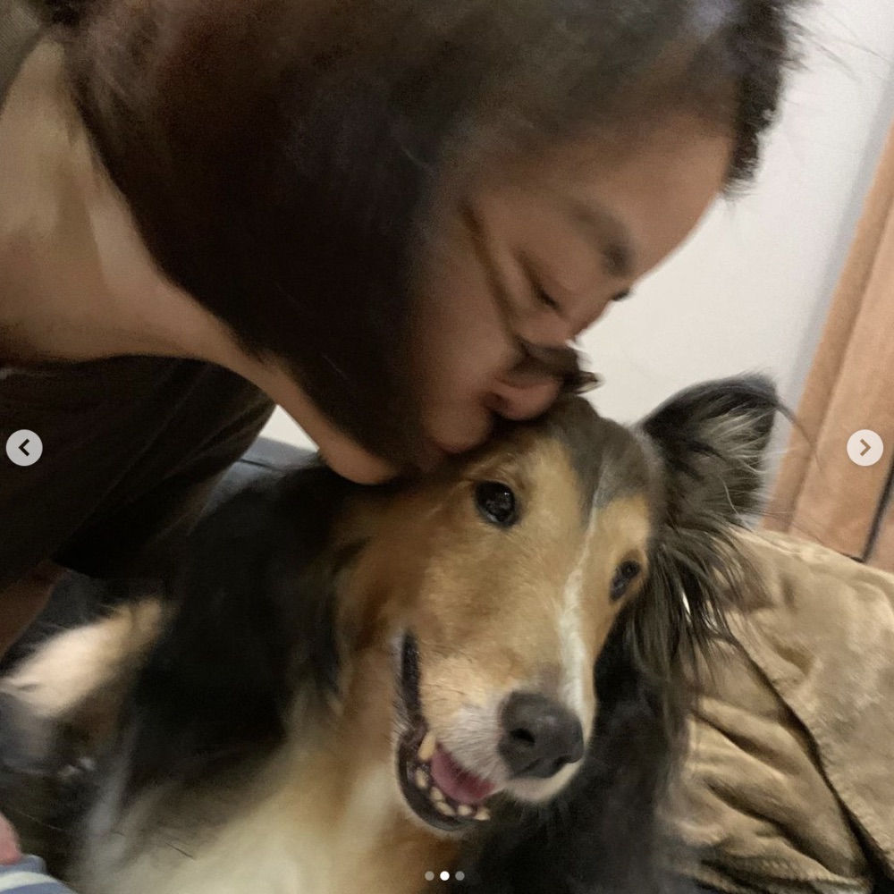 余命宣告された愛犬・姫子と（画像は『岸本加世子　2021年6月11日付Instagram「姫子が辛い治療を頑張ってくれています。」』のスクリーンショット）