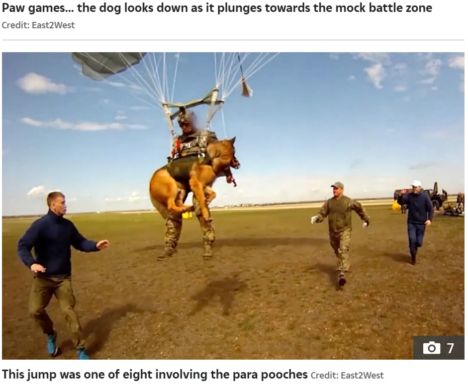 犬は隊員とともに着陸した後も落ち着いた様子でお座りして待っていた（画像は『The Sun　2021年7月6日付「PARA-POOCH JUMP Crazy video shows Vladimir Putin’s war dogs parachute into battle from 13,000ft strapped to Russian soldiers」（Credit: East2West）』のスクリーンショット）