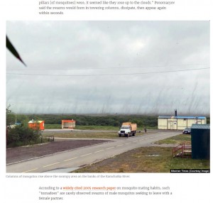 この地域では毎年夏になると見られる現象だという（画像は『Radio Free Europe　2021年7月20日付「Mosquito ‘Tornadoes’ Storm Russia’s Far East」（Siberian Times（Courtesy Image））』のスクリーンショット）