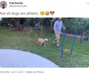 犬は全くやる気がない？（画像は『Fred Schultz　2021年7月21日Twitter「Not all dogs are athletic.」』のスクリーンショット）