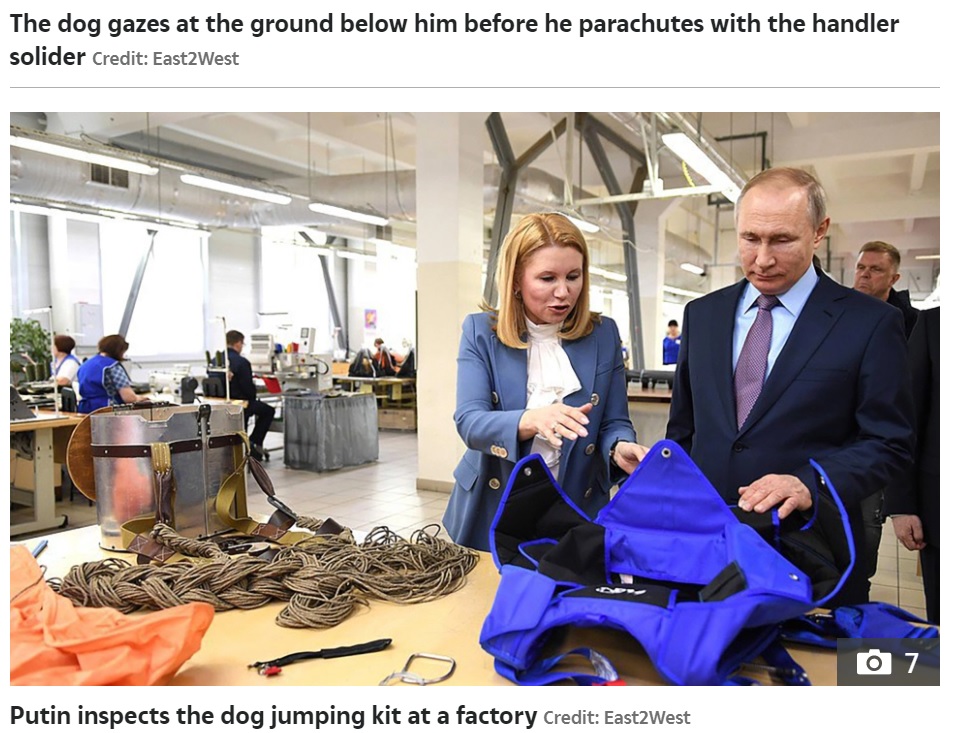 犬がパラシュートで落下できるように開発されたハーネスを製造工場で視察するプーチン大統領（画像は『The Sun　2021年7月6日付「PARA-POOCH JUMP Crazy video shows Vladimir Putin’s war dogs parachute into battle from 13,000ft strapped to Russian soldiers」（Credit: East2West）』のスクリーンショット）