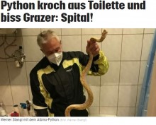 【海外発！Breaking News】早朝のトイレで珍事件　65歳男性が便座でニシキヘビに急所を噛まれる（オーストリア）