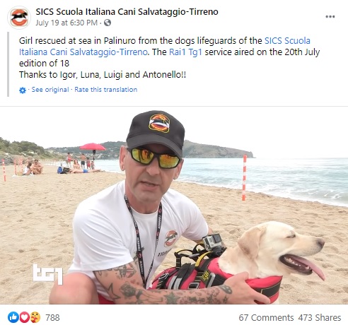 ハンドラーの男性と海難救助犬のルナ（画像は『SICS Scuola Italiana Cani Salvataggio-Tirreno　2021年7月19日付Facebook「Girl rescued at sea in Palinuro from the dogs lifeguards」』のスクリーンショット）