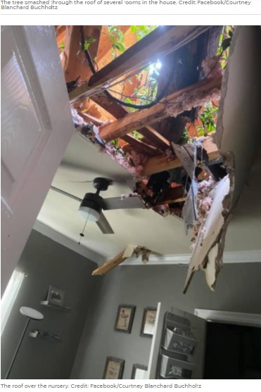 3人が無事だったのは奇跡的だった（画像は『7News　2021年7月8日付「US mum’s anguish as large tree falls on roof over five-month-old sleeping baby」（Credit: Courtney Blanchard Buchholtz/Facebook）』のスクリーンショット）
