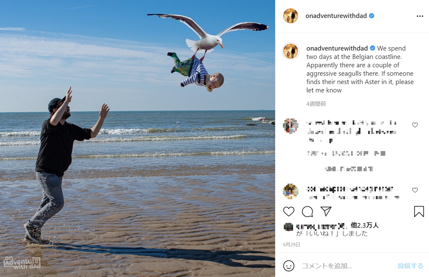 海で我が子がカモメに連れ去られる!?（画像は『On Adventure With Dad　2021年6月29日付Instagram「We spend two days at the Belgian coastline.」』のスクリーンショット）