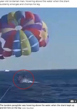 【海外発！Breaking News】パラセーリング中の男性、着水時にサメに足を引きちぎられる（ヨルダン）＜動画あり＞