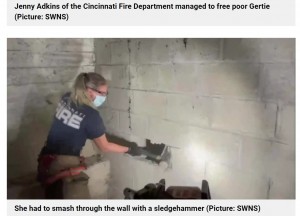 大きなハンマーで豪快に壁を壊す様子（画像は『Metro　2021年7月21日付「Firefighters smash through wall to rescue dog trapped inside for five days」（Picture: SWNS）』のスクリーンショット）