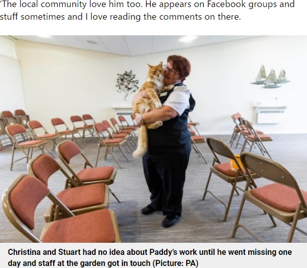 葬儀場のスタッフにも人気のパディ（画像は『Metro　2021年7月20日付「Meet Paddy - the cat who leads a secret life comforting people who are grieving」（Picture: PA）』のスクリーンショット）