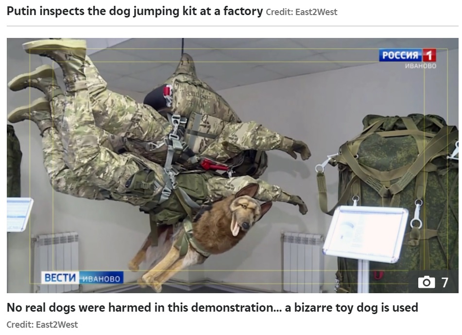 模型を用いたパラシュートシステムの展示も作られている（画像は『The Sun　2021年7月6日付「PARA-POOCH JUMP Crazy video shows Vladimir Putin’s war dogs parachute into battle from 13,000ft strapped to Russian soldiers」（Credit: East2West）』のスクリーンショット）