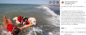 救助の訓練をする犬（画像は『SICS Scuola Italiana Cani Salvataggio-Tirreno　2021年2月21日付Facebook「GLA “PRESA AL POLSO”. ECCO L’ECCELLENZA」』のスクリーンショット）