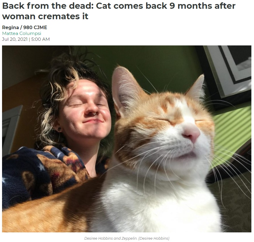 火葬したはずの愛猫が戻ってきて、飼い主は仰天（画像は『980 CJME　2021年7月20日付「Back from the dead: Cat comes back 9 months after woman cremates it」（Desiree Hobbins）』のスクリーンショット）