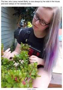 レイシーさんのペットとなったマルハナバチの“ベティ”（画像は『LADbible　2021年8月21日付「Teenager Who Rescued Bumblebee Adopts It As Her Pet After It Refused To Leave Her Side」（Credit: SWNS）』のスクリーンショット）