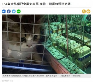 【海外発！Breaking News】アメリカンショートヘアなど密輸された猫154匹を殺処分（台湾）