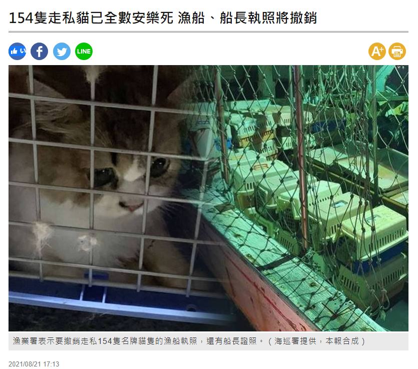 押収された猫は全て殺処分へ（画像は『自由時報　2021年8月21日付「154隻走私貓已全數安樂死 漁船、船長執照將撤銷」（海巡署提供、本報合成）』のスクリーンショット）