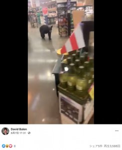 店内を練り歩くクマ（画像は『David Balen　2021年8月7日付Facebook「Juvenile Black Bear Excitement in Porter Ranch!!!」』のスクリーンショット）