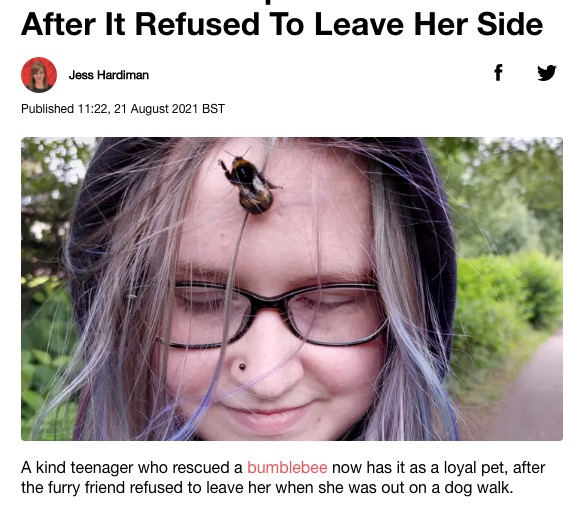 少女は救ったマルハナバチに懐かれた？（画像は『LADbible　2021年8月21日付「Teenager Who Rescued Bumblebee Adopts It As Her Pet After It Refused To Leave Her Side」（Credit: SWNS）』のスクリーンショット）