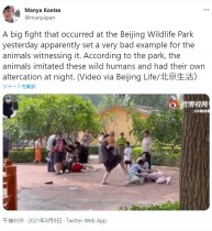 【海外発！Breaking News】中国の動物園で来場客が大乱闘　人々は呆れ「動物たちのほうがよっぽどマナーがいい」＜動画あり＞