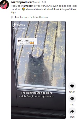 ガラス戸の外で待つ猫（画像は『Sazrah　2021年8月16日付TikTok「Reply to ＠iamazemoi Yes very!」』のスクリーンショット）