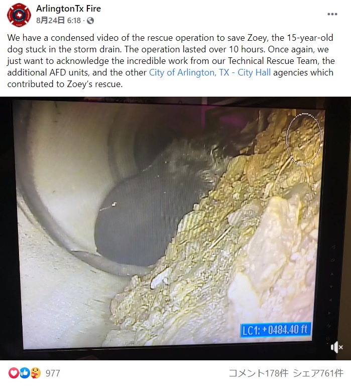排水路に迷い込んだ犬（画像は『ArlingtonTx Fire　2021年8月24日付Facebook「We have a condensed video of the rescue operation to save Zoey, the 15-year-old dog stuck in the storm drain.」』のスクリーンショット）