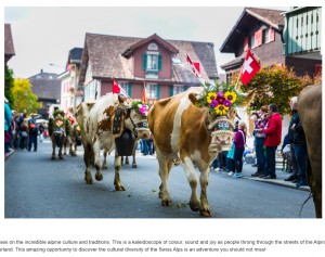 カウ・パレードの華やかな様子（画像は『Passenger Diaries　「Swiss Cow Parade - Alpine Festival!」』のスクリーンショット）