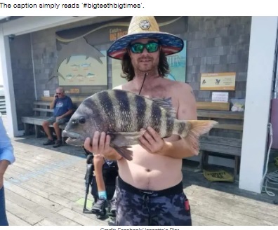 シープスヘッドを釣り上げた男性（画像は『LADbible　2021年8月5日付「‘Terrifying’ Fish With ‘Human Teeth’ Baffles Social Media Users」（Credit: Facebook/Jennette’s Pier）』のスクリーンショット）