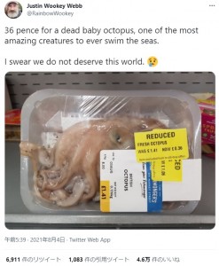 イギリスでは生のタコの販売に馴染みがなく、タコは高等生物であるという認識が高い（画像は『Justin Wookey Webb　2021年8月4日付Twitter「36 pence for a dead baby octopus, one of the most amazing creatures to ever swim the seas」』のスクリーンショット）