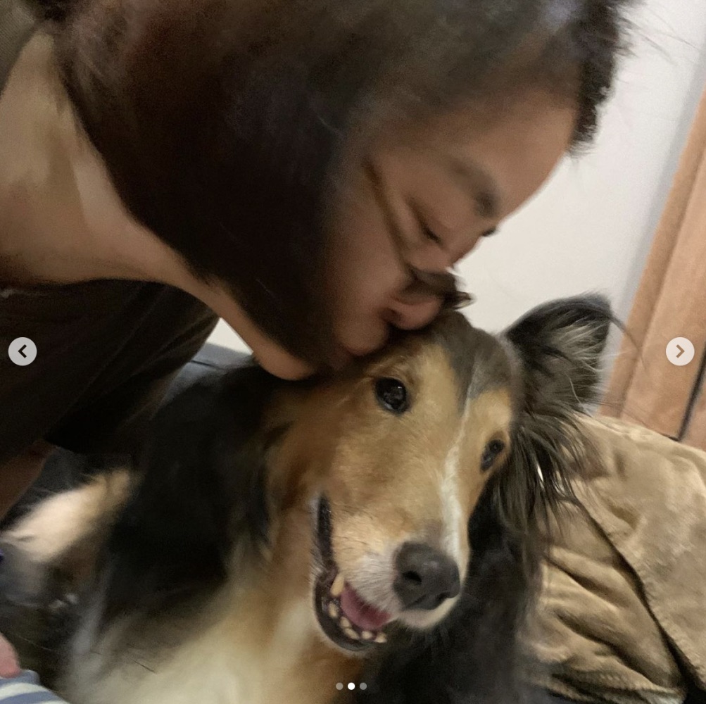 5回目の抗がん剤治療を受けた愛犬・姫子（画像は『岸本加世子　2021年6月11日付Instagram「姫子が辛い治療を頑張ってくれています。」』のスクリーンショット）