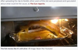 【海外発！Breaking News】魚の切り身がオーブン内を暴れ回る！　「まるでエクソシストのワンシーン」＜動画あり＞