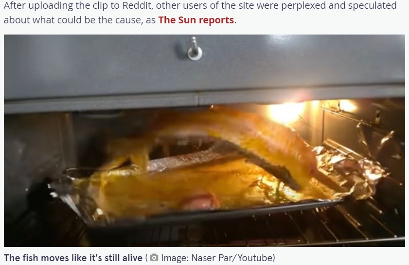 激しくオーブン内を暴れ回る魚の切り身（画像は『The Mirror　2021年8月13日付「Woman horrified as cooking fish leaps around like a ‘scene from the exorcist’」（Naser Par/Youtube）』のスクリーンショット）
