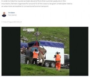 到着するとゆっくりと降ろされ、待機していた人がハーネスを外した（画像は『Sky.com　2021年8月27日付「Sound of Moosic: Swiss cows airlifted off mountain pastures ahead of annual parade」』のスクリーンショット）