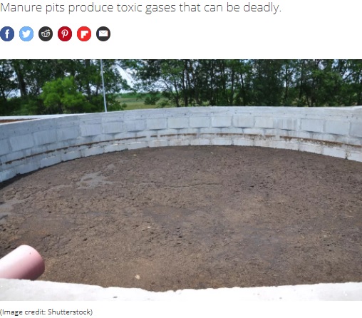 家畜の糞尿を集めた糞尿貯留ピット（画像は『Live Science　2021年8月13日付「3 men die in manure pit: Here’s why it’s a ‘death trap.’」（Image credit: Shutterstock）』のスクリーンショット）