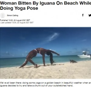 【海外発！Breaking News】ビーチでヨガをしていた女性、イグアナに指を噛まれ悲鳴（バハマ）＜動画あり＞