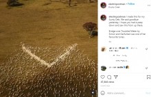 【海外発！Breaking News】亡き叔母のため数百頭の羊の群れでハート型を作った男性、その動画が圧巻（豪）＜動画あり＞